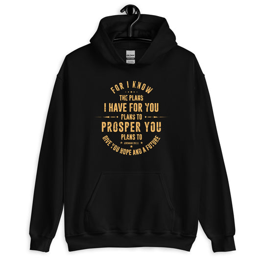 Jerimiah 29:11   -Unisex Hoodie::
