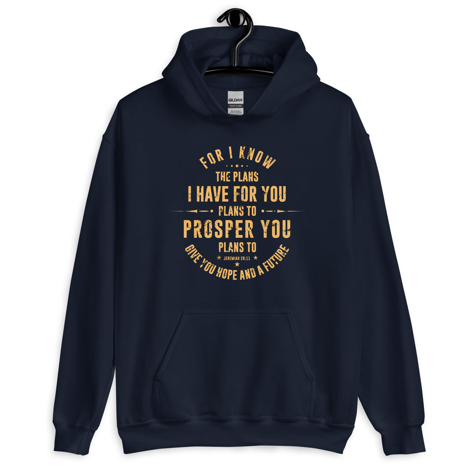Jerimiah 29:11   -Unisex Hoodie::