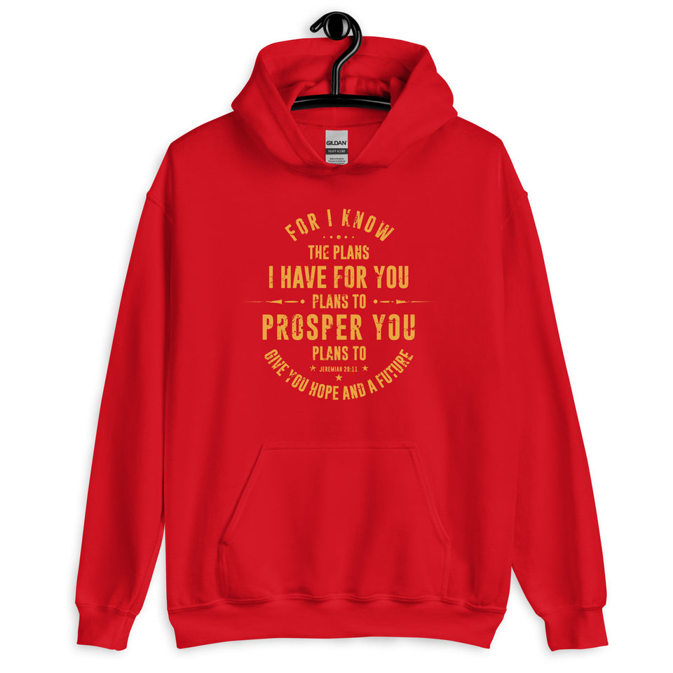 Jerimiah 29:11   -Unisex Hoodie::