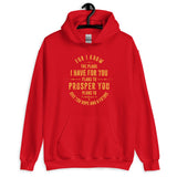 Jerimiah 29:11   -Unisex Hoodie::