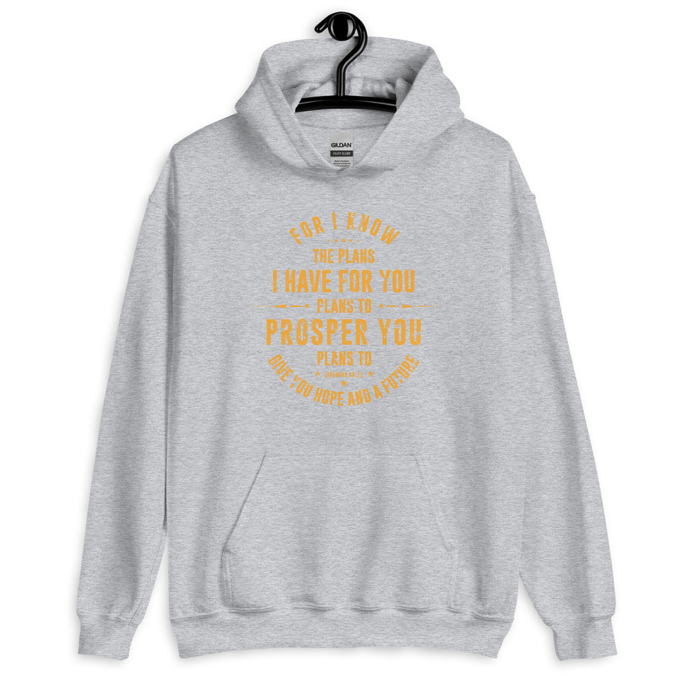 Jerimiah 29:11   -Unisex Hoodie::