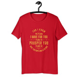 Jeremiah 29:11 -SS Unisex T-Shirt